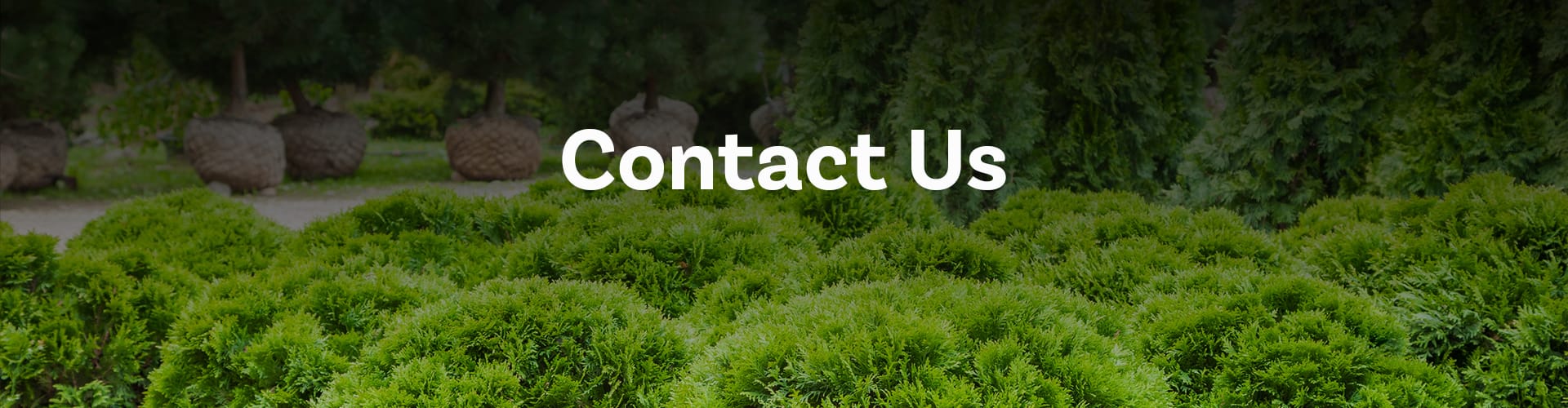 Contact 1 Contact us