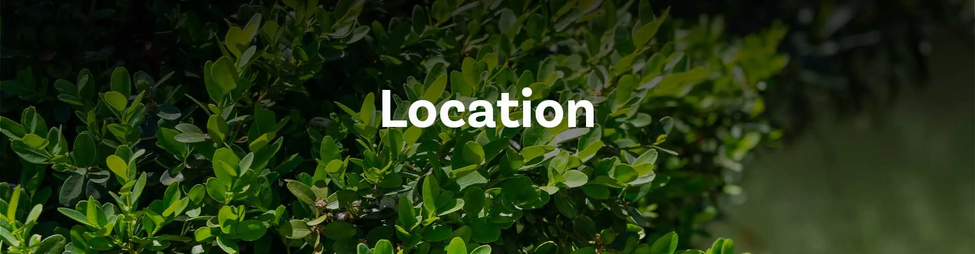Our Location