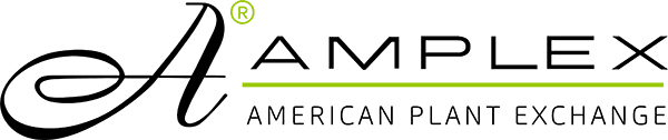 logo main