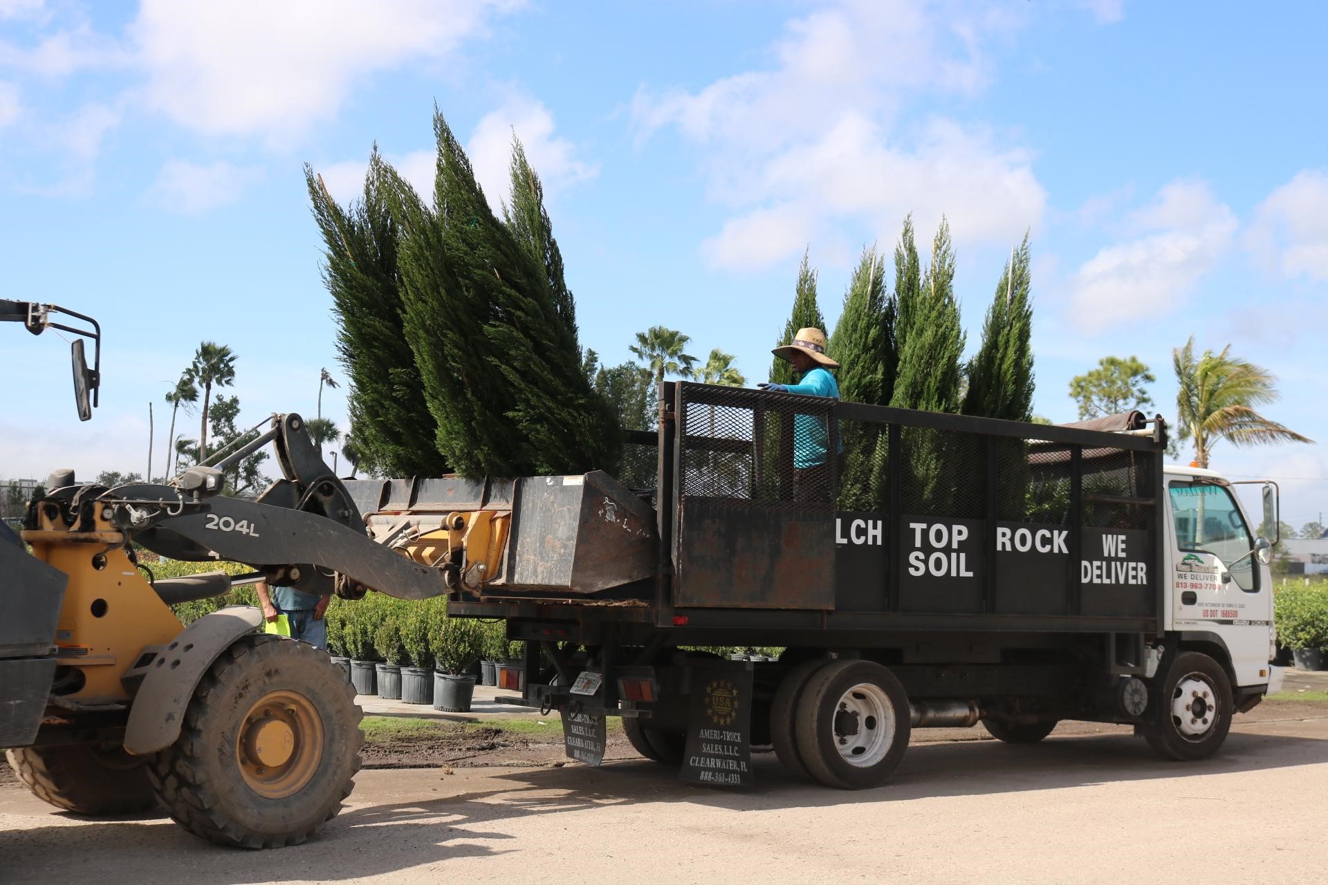 Top Reasons to Choose Local Wholesale Tree and Shrub Suppliers 1 Wholesale Tree and Shrub Suppliers