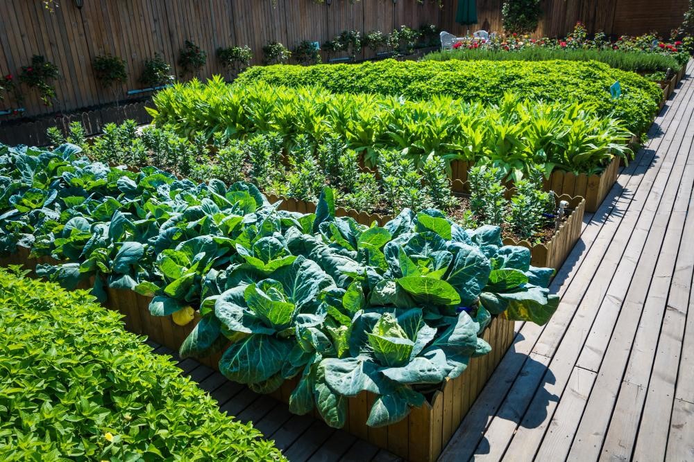 Why Choose Edible Landscaping? A Complete Guide 1 Edible Landscaping